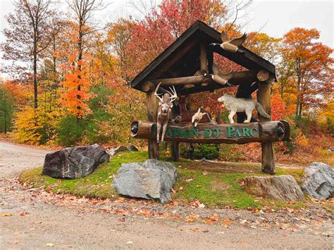 parc omega tickets|parc omega discounts.